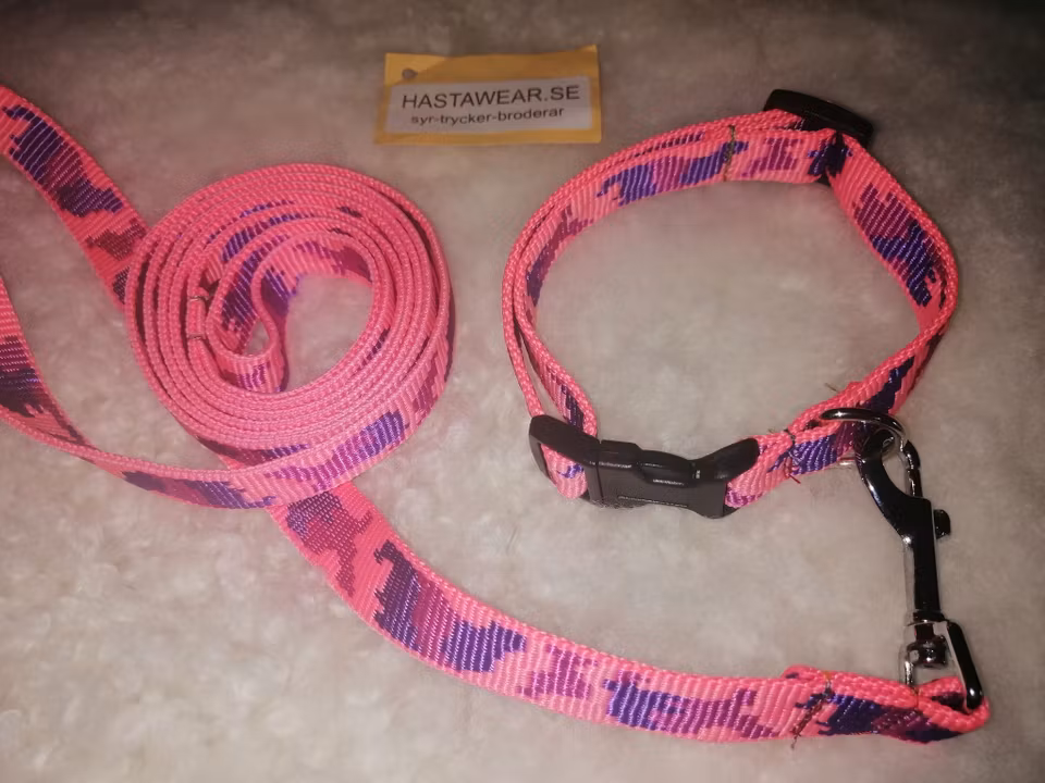 Reglerbart hundhalsband